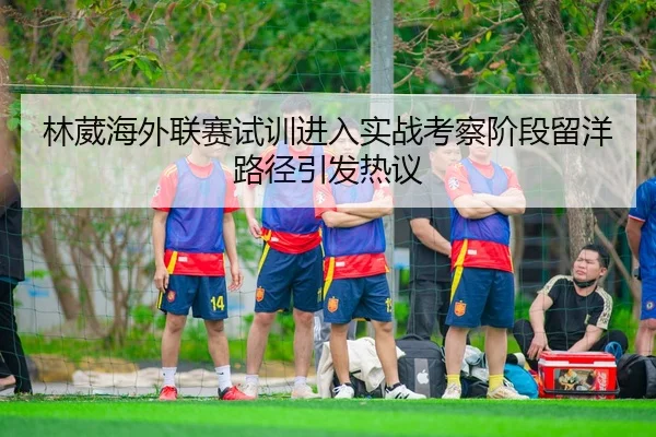 林葳海外联赛试训进入实战考察阶段留洋路径引发热议