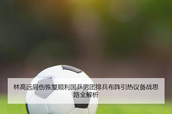 林高远肩伤恢复顺利国乒男团排兵布阵引热议备战思路全解析